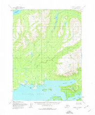Iliamna D-4 Alaska Historical topographic map, 1:63360 scale, 15 X 15 Minute, Year 1954