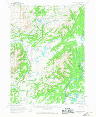 Iliamna D-6 Alaska Historical topographic map, 1:63360 scale, 15 X 15 Minute, Year 1954