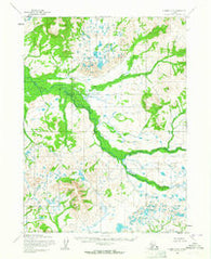 Iliamna D-8 Alaska Historical topographic map, 1:63360 scale, 15 X 15 Minute, Year 1954
