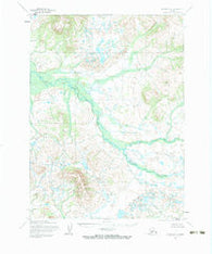 Iliamna D-8 Alaska Historical topographic map, 1:63360 scale, 15 X 15 Minute, Year 1954