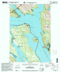 Juneau A-1 Alaska Historical topographic map, 1:63360 scale, 15 X 15 Minute, Year 1996