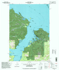 Juneau A-5 Alaska Historical topographic map, 1:63360 scale, 15 X 15 Minute, Year 1994