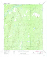 Kantishna River C-2 Alaska Historical topographic map, 1:63360 scale, 15 X 15 Minute, Year 1953