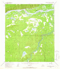 Kantishna River D-2 Alaska Historical topographic map, 1:63360 scale, 15 X 15 Minute, Year 1952