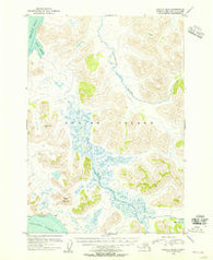 Karluk B-2 Alaska Historical topographic map, 1:63360 scale, 15 X 15 Minute, Year 1954