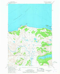 Karluk C-1 Alaska Historical topographic map, 1:63360 scale, 15 X 15 Minute, Year 1952