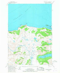 Karluk C-1 Alaska Historical topographic map, 1:63360 scale, 15 X 15 Minute, Year 1952