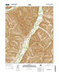 Kateel River B-6 SE Alaska Current topographic map, 1:25000 scale, 7.5 X 7.5 Minute, Year 2015