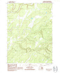 Kenai A-4 SW Alaska Historical topographic map, 1:25000 scale, 7.5 X 7.5 Minute, Year 1987