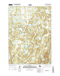 Kenai D-2 SW Alaska Current topographic map, 1:25000 scale, 7.5 X 7.5 Minute, Year 2014