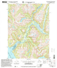 Ketchikan D-3 Alaska Historical topographic map, 1:63360 scale, 15 X 15 Minute, Year 1996