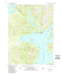 Ketchikan D-6 Alaska Historical topographic map, 1:63360 scale, 15 X 15 Minute, Year 1952