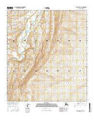 Killik River C-2 SE Alaska Current topographic map, 1:25000 scale, 7.5 X 7.5 Minute, Year 2016
