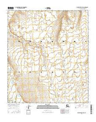 Killik River D-5 SW Alaska Current topographic map, 1:25000 scale, 7.5 X 7.5 Minute, Year 2016