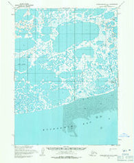 Kuskokwim Bay D-4 Alaska Historical topographic map, 1:63360 scale, 15 X 15 Minute, Year 1954