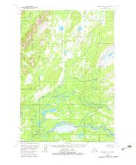 Lime Hills C-5 Alaska Historical topographic map, 1:63360 scale, 15 X 15 Minute, Year 1954