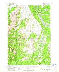 Lime Hills D-5 Alaska Historical topographic map, 1:63360 scale, 15 X 15 Minute, Year 1954