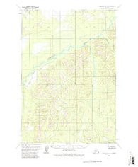 Lime Hills D-7 Alaska Historical topographic map, 1:63360 scale, 15 X 15 Minute, Year 1954