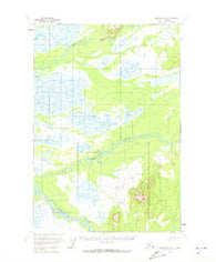 Lime Hills D-8 Alaska Historical topographic map, 1:63360 scale, 15 X 15 Minute, Year 1954