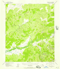 Livengood A-2 Alaska Historical topographic map, 1:63360 scale, 15 X 15 Minute, Year 1954