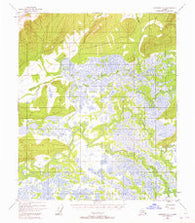 Livengood A-5 Alaska Historical topographic map, 1:63360 scale, 15 X 15 Minute, Year 1951