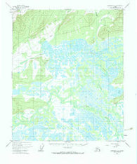Livengood A-5 Alaska Historical topographic map, 1:63360 scale, 15 X 15 Minute, Year 1951