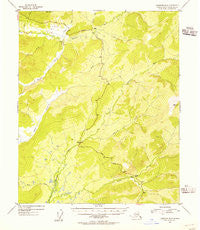 Livengood B-3 Alaska Historical topographic map, 1:63360 scale, 15 X 15 Minute, Year 1954