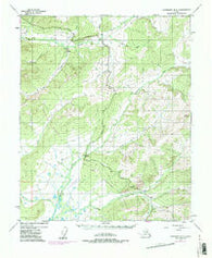 Livengood B-3 Alaska Historical topographic map, 1:63360 scale, 15 X 15 Minute, Year 1954