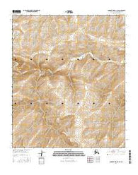 Lookout Ridge B-1 SE Alaska Current topographic map, 1:25000 scale, 7.5 X 7.5 Minute, Year 2016