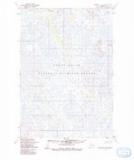 Marshall C-4 Alaska Historical topographic map, 1:63360 scale, 15 X 15 Minute, Year 1954