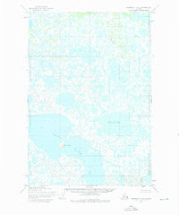 Marshall C-5 Alaska Historical topographic map, 1:63360 scale, 15 X 15 Minute, Year 1952