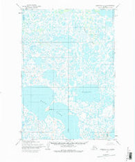 Marshall C-5 Alaska Historical topographic map, 1:63360 scale, 15 X 15 Minute, Year 1952