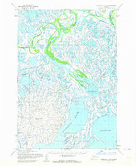 Marshall C-8 Alaska Historical topographic map, 1:63360 scale, 15 X 15 Minute, Year 1952