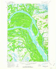 Marshall D-1 Alaska Historical topographic map, 1:63360 scale, 15 X 15 Minute, Year 1952