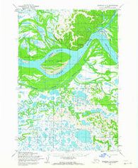 Marshall D-3 Alaska Historical topographic map, 1:63360 scale, 15 X 15 Minute, Year 1952