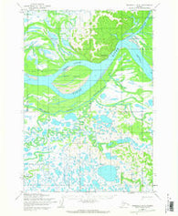 Marshall D-3 Alaska Historical topographic map, 1:63360 scale, 15 X 15 Minute, Year 1952