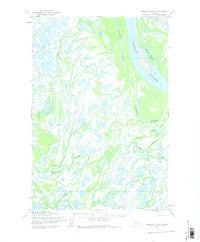 Marshall D-4 Alaska Historical topographic map, 1:63360 scale, 15 X 15 Minute, Year 1952