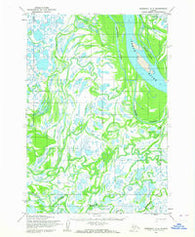 Marshall D-4 Alaska Historical topographic map, 1:63360 scale, 15 X 15 Minute, Year 1952