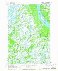 Marshall D-4 Alaska Historical topographic map, 1:63360 scale, 15 X 15 Minute, Year 1952