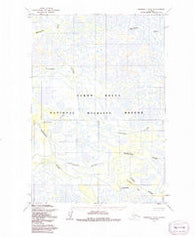 Marshall D-5 Alaska Historical topographic map, 1:63360 scale, 15 X 15 Minute, Year 1952