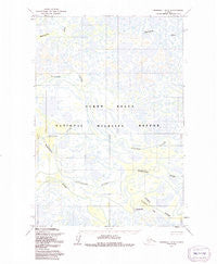 Marshall D-5 Alaska Historical topographic map, 1:63360 scale, 15 X 15 Minute, Year 1952