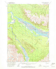 McCarthy A-5 Alaska Historical topographic map, 1:63360 scale, 15 X 15 Minute, Year 1959