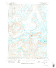 McCarthy B-3 Alaska Historical topographic map, 1:63360 scale, 15 X 15 Minute, Year 1959