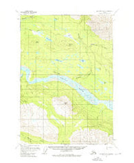 McCarthy B-8 Alaska Historical topographic map, 1:63360 scale, 15 X 15 Minute, Year 1951