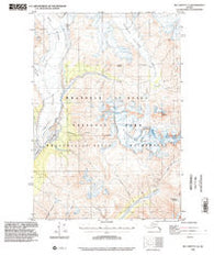 McCarthy C-4 Alaska Historical topographic map, 1:63360 scale, 15 X 15 Minute, Year 1993