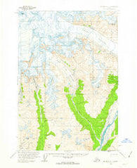 McCarthy C-5 Alaska Historical topographic map, 1:63360 scale, 15 X 15 Minute, Year 1959