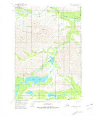 McCarthy D-1 Alaska Historical topographic map, 1:63360 scale, 15 X 15 Minute, Year 1959