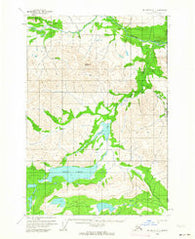 McCarthy D-1 Alaska Historical topographic map, 1:63360 scale, 15 X 15 Minute, Year 1959
