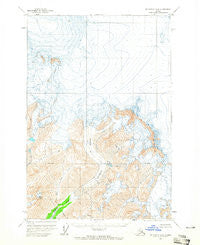 McCarthy D-8 Alaska Historical topographic map, 1:63360 scale, 15 X 15 Minute, Year 1960