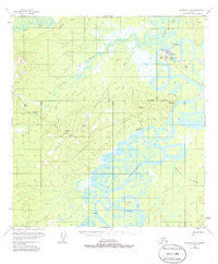 McGrath D-6 Alaska Historical topographic map, 1:63360 scale, 15 X 15 Minute, Year 1954